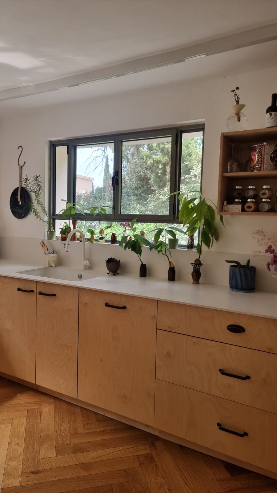 מטבח דיקט